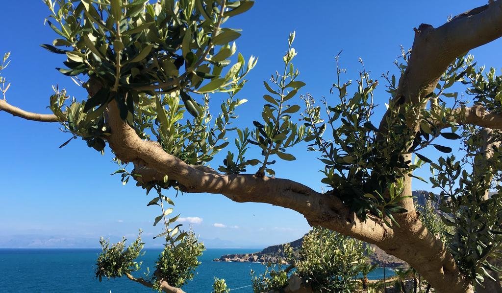 Appartement Il Casale San Vito à San Vito Lo Capo Extérieur photo